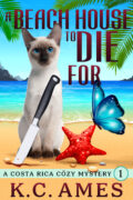 A Beach House To Die For cover