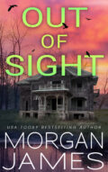 Out of Sight (Secrets of Brookhaven #1) cover